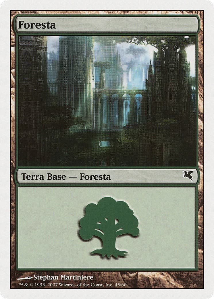Forest - Image 1