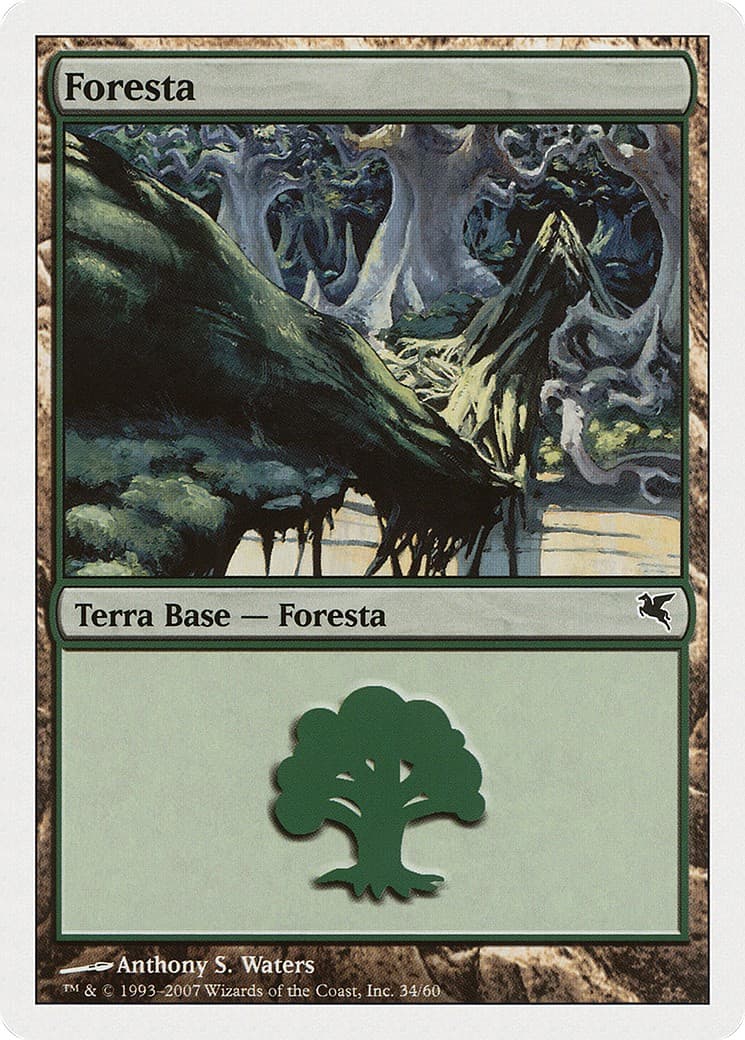 Forest - Image 1