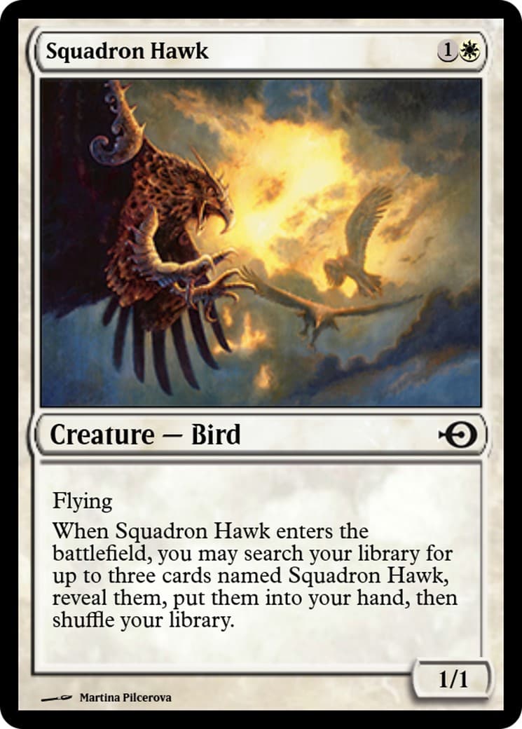 Squadron Hawk - Image 1