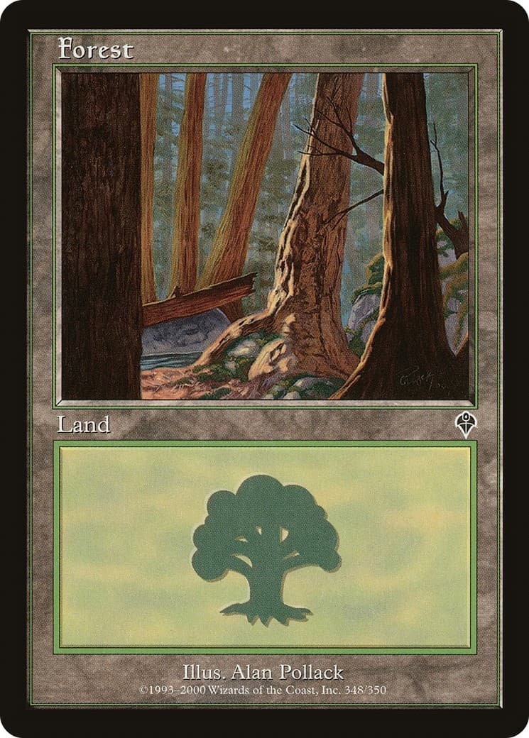 Forest - Image 1