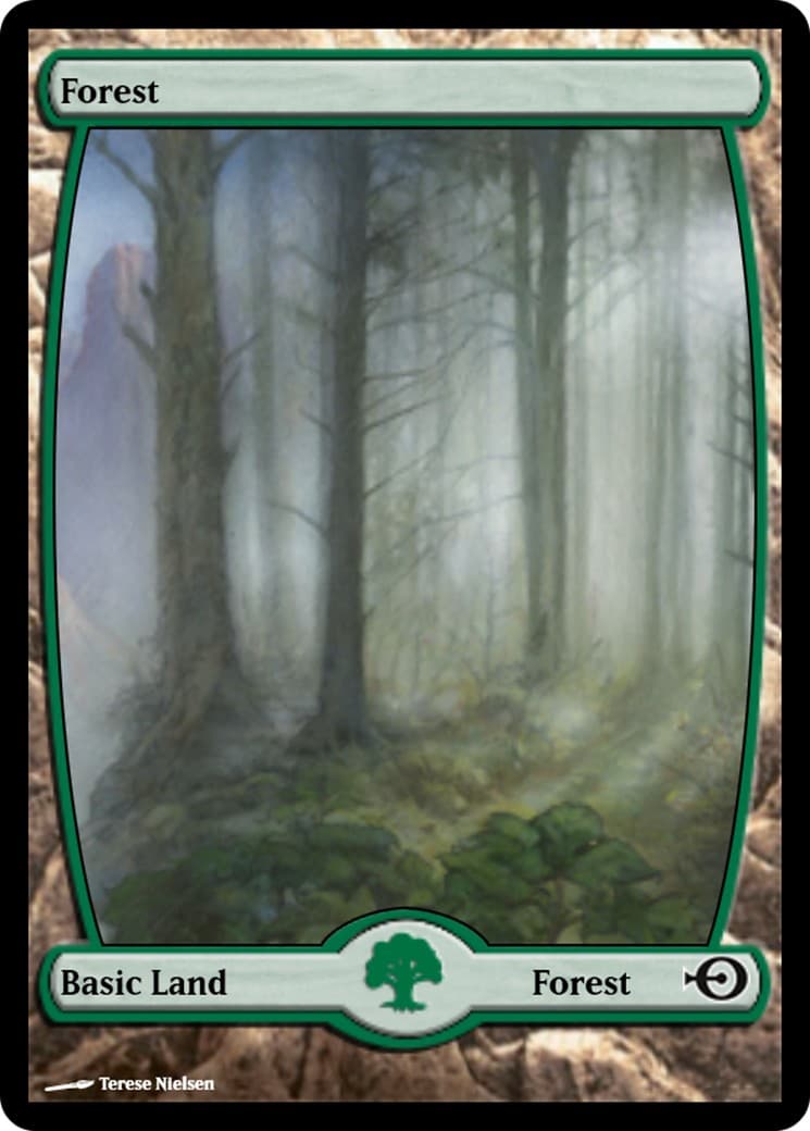 Forest - Image 1