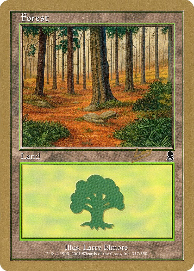 Forest - Image 1