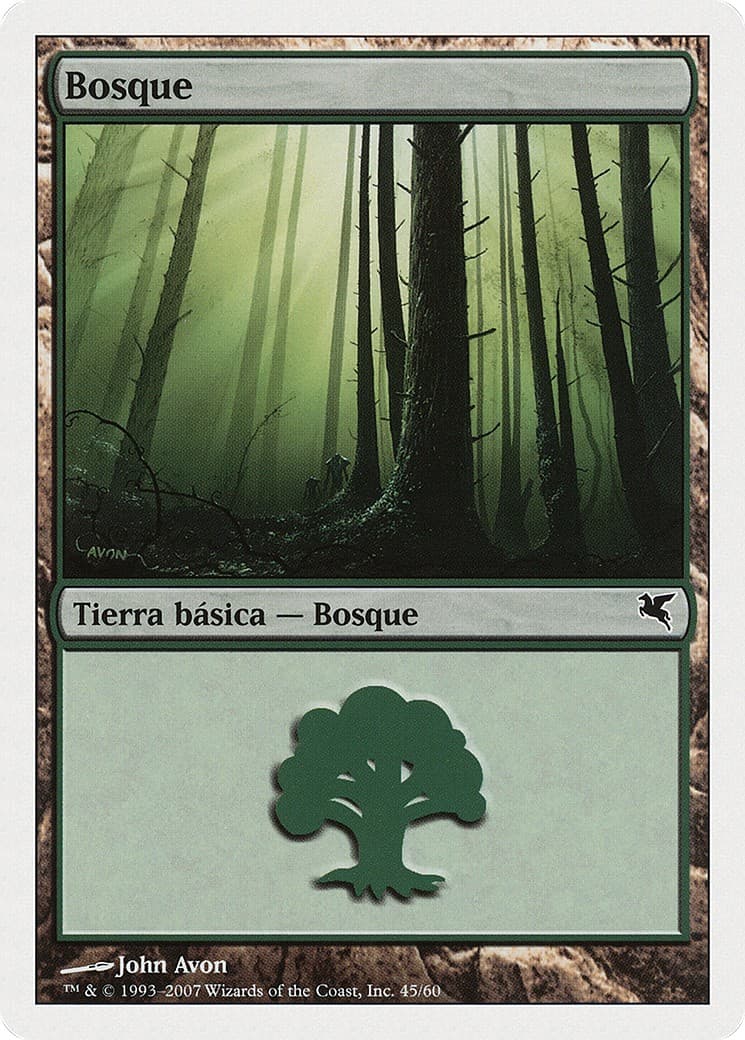 Forest - Image 1