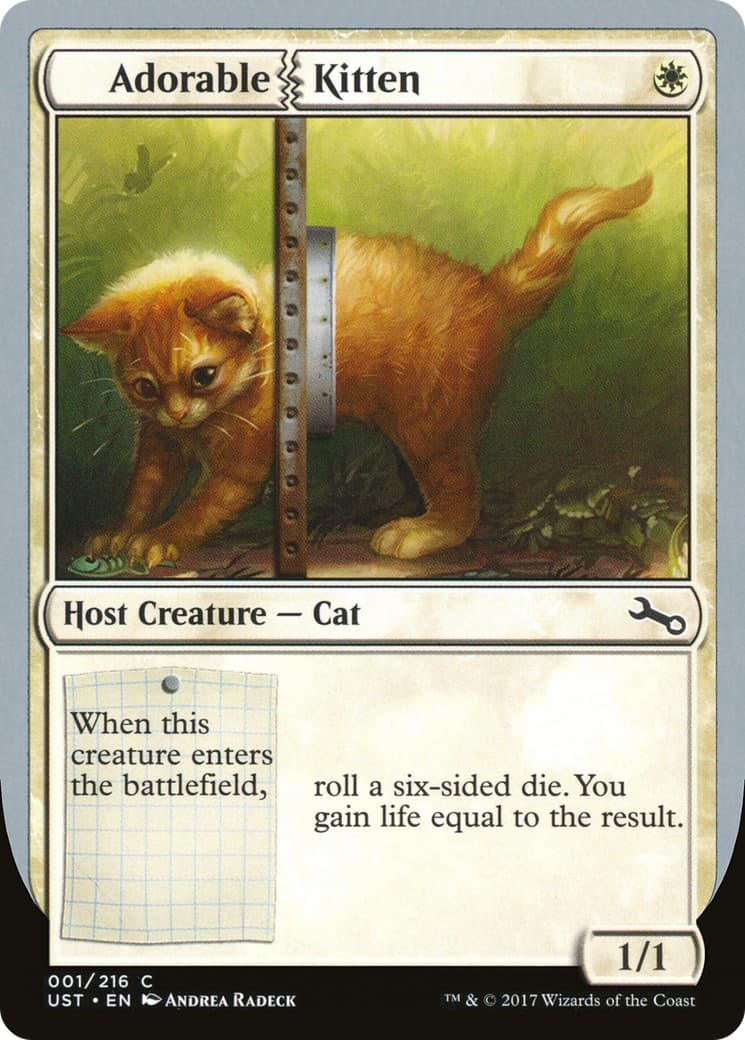 Adorable Kitten - Image 1