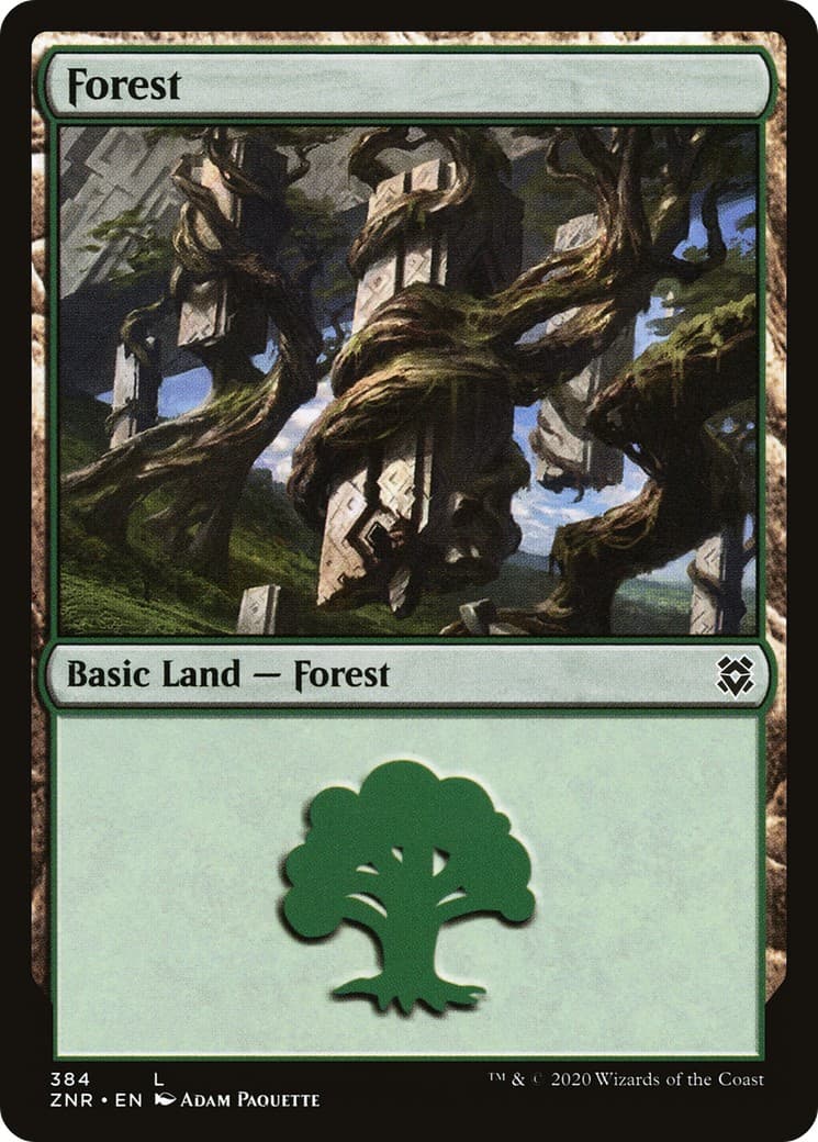 Forest - Image 1