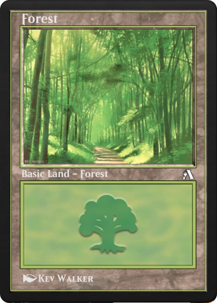 Forest - Image 1