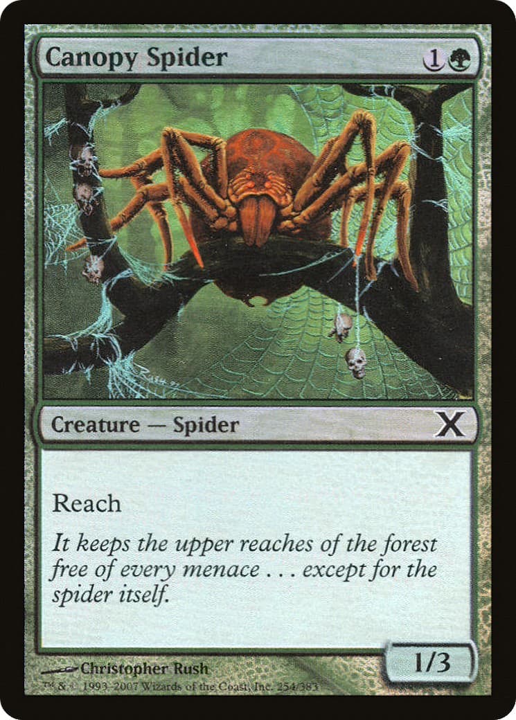 Canopy Spider - Image 1