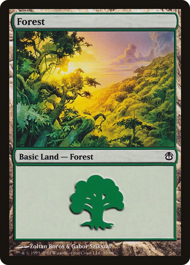 Forest - Image 1