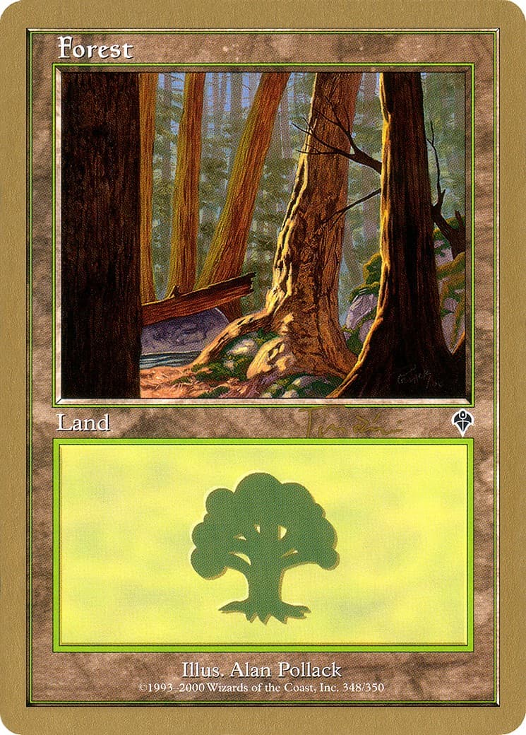 Forest - Image 1