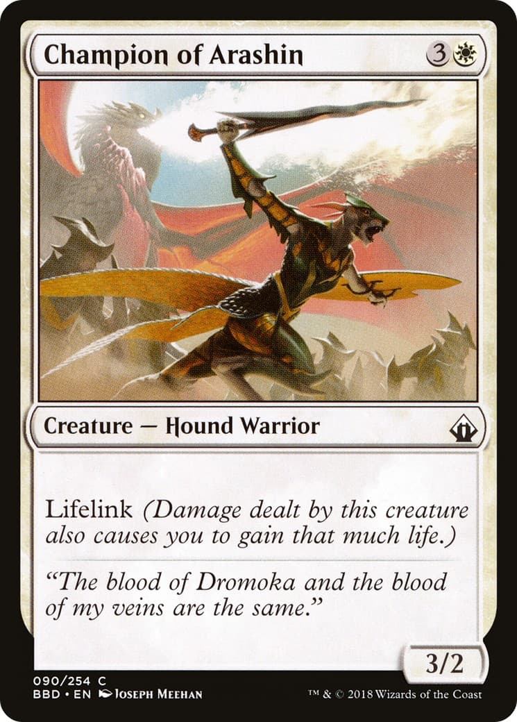 Champion of Arashin - Image 1