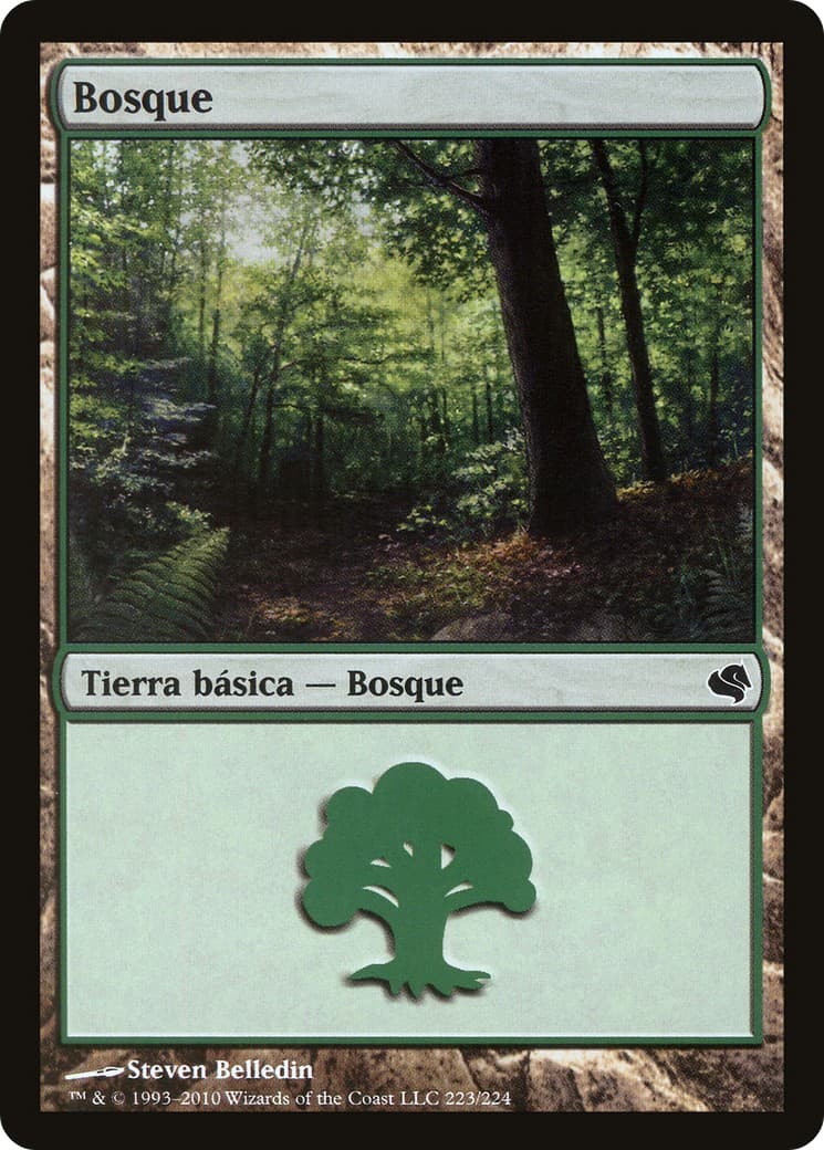 Forest - Image 1