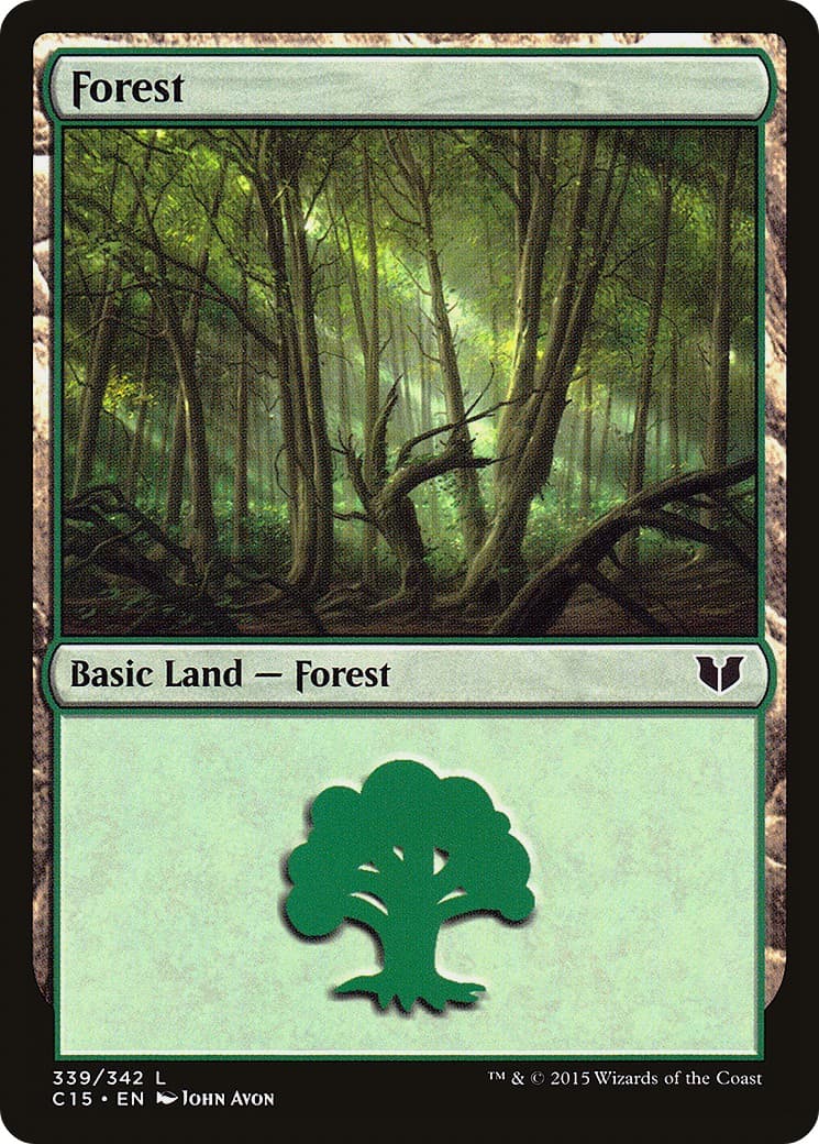 Forest - Image 1