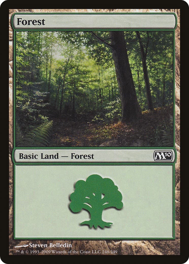 Forest - Image 1