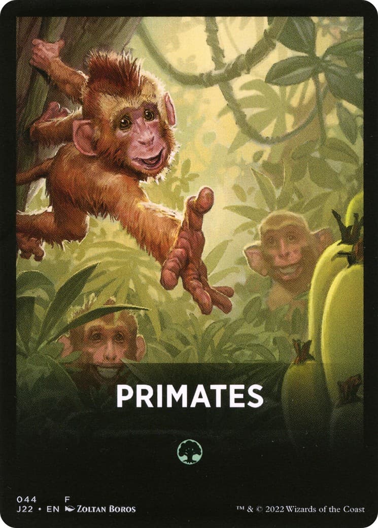 Primates - Image 1