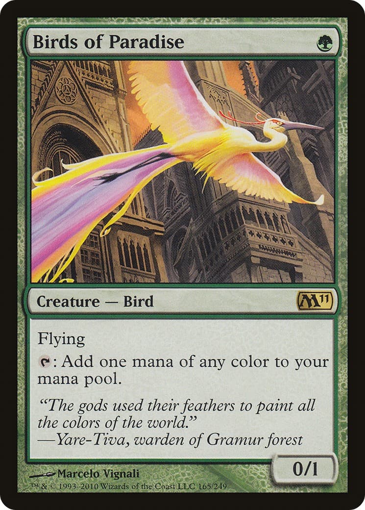Birds of Paradise - Image 1