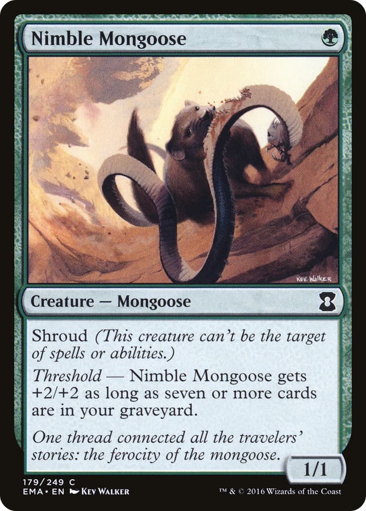 Nimble Mongoose - Image 1