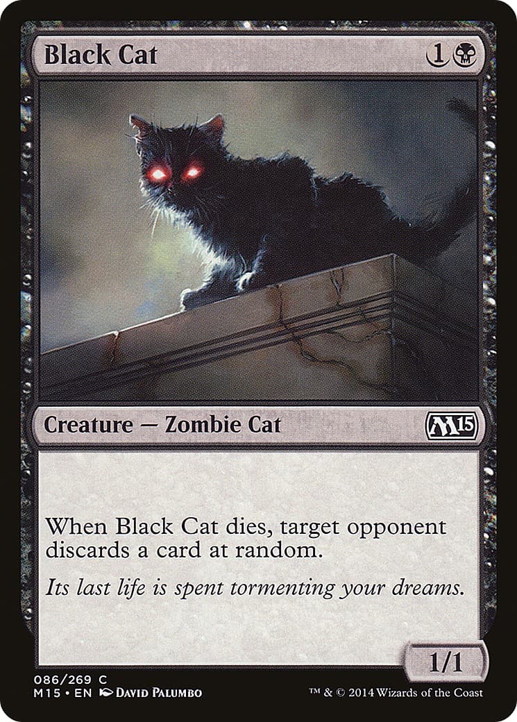 Black Cat - Image 1