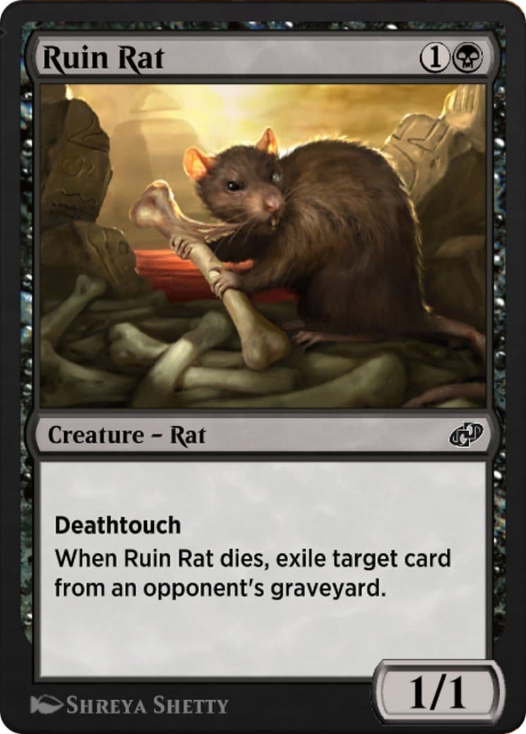 Ruin Rat - Image 1