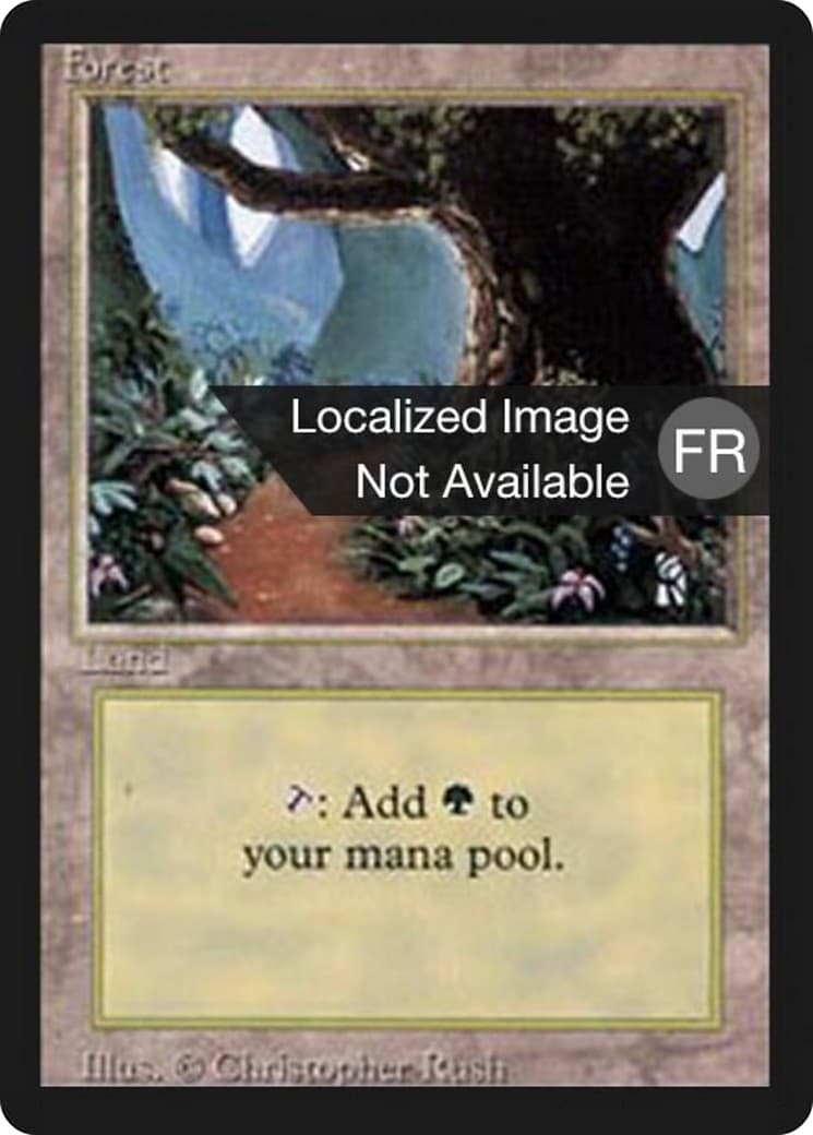 Forest - Image 1