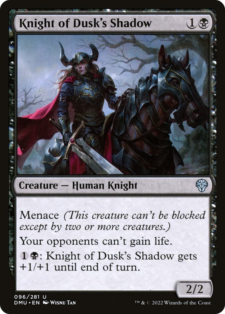 Knight of Dusk's Shadow - Image 1