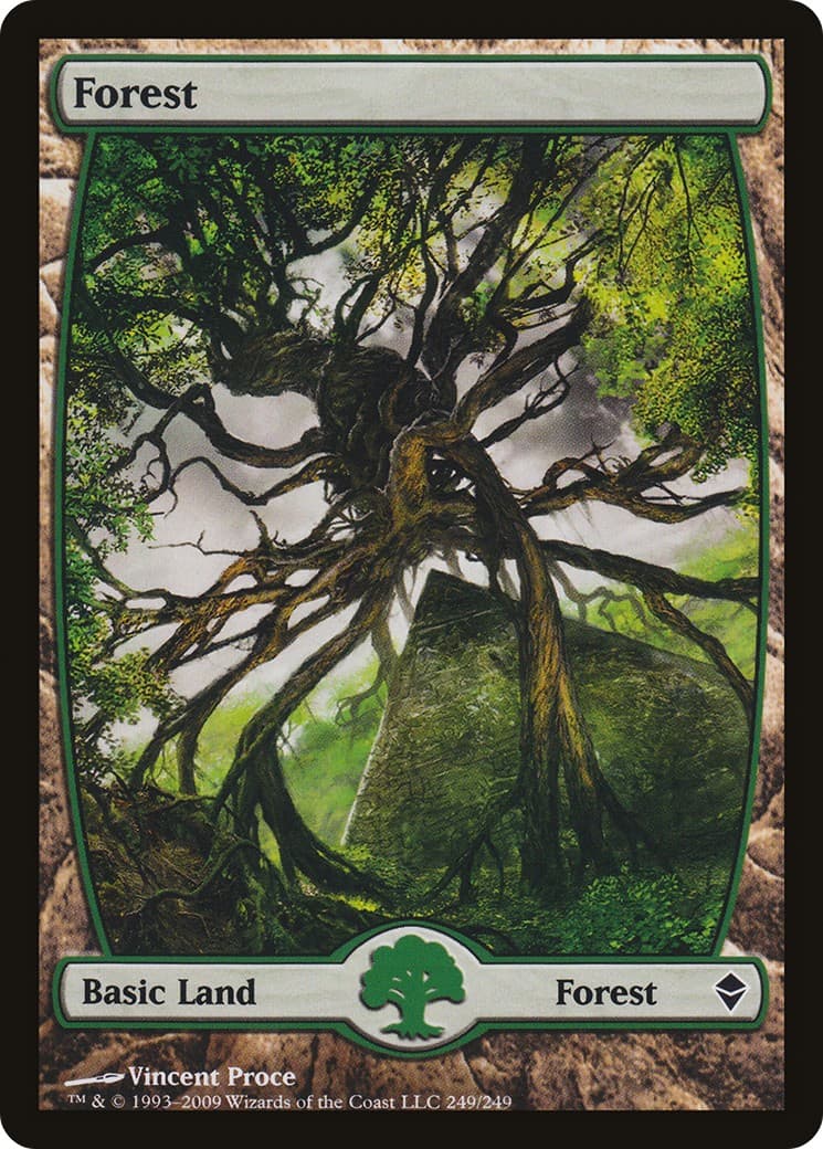 Forest - Image 1