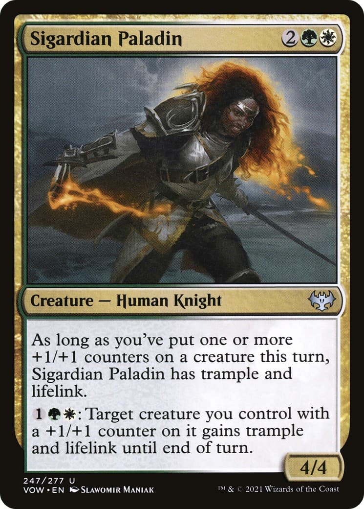 Sigardian Paladin - Image 1