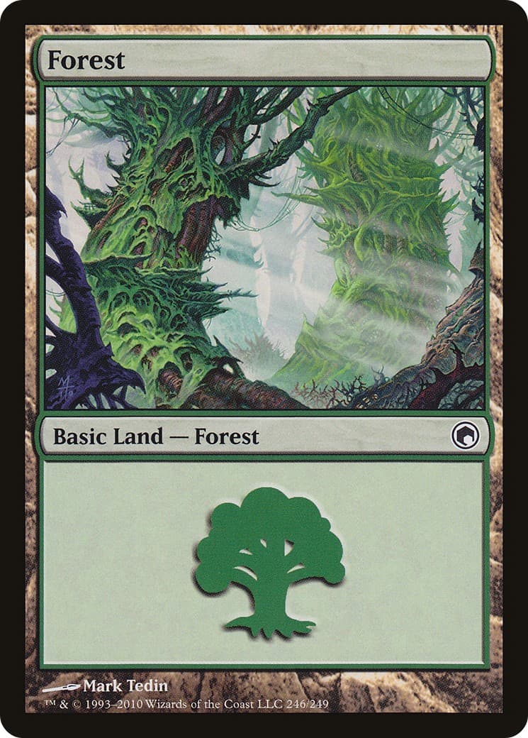 Forest - Image 1