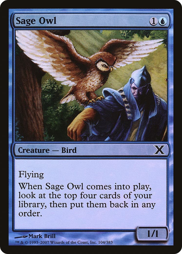 Sage Owl - Image 1
