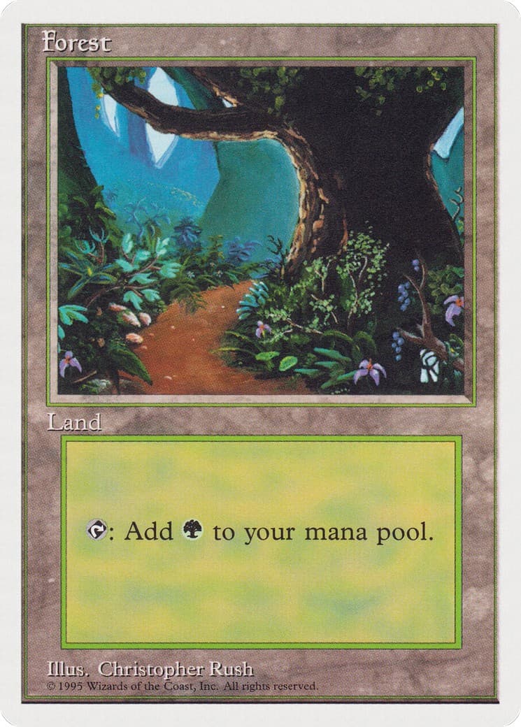 Forest - Image 1