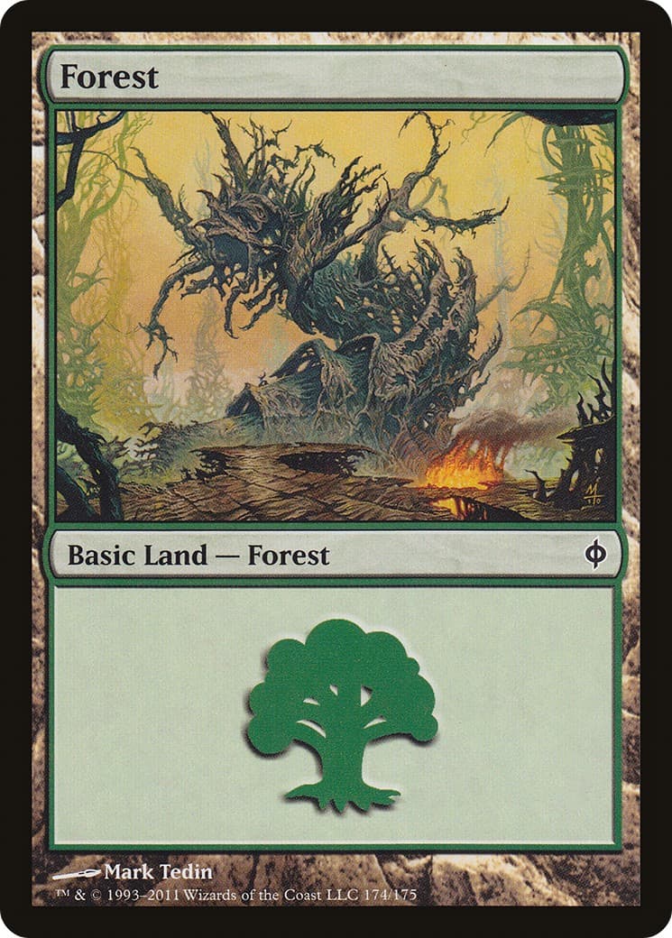 Forest - Image 1