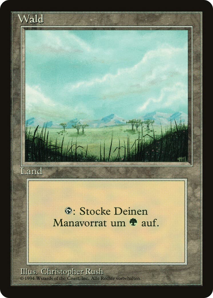 Forest - Image 1