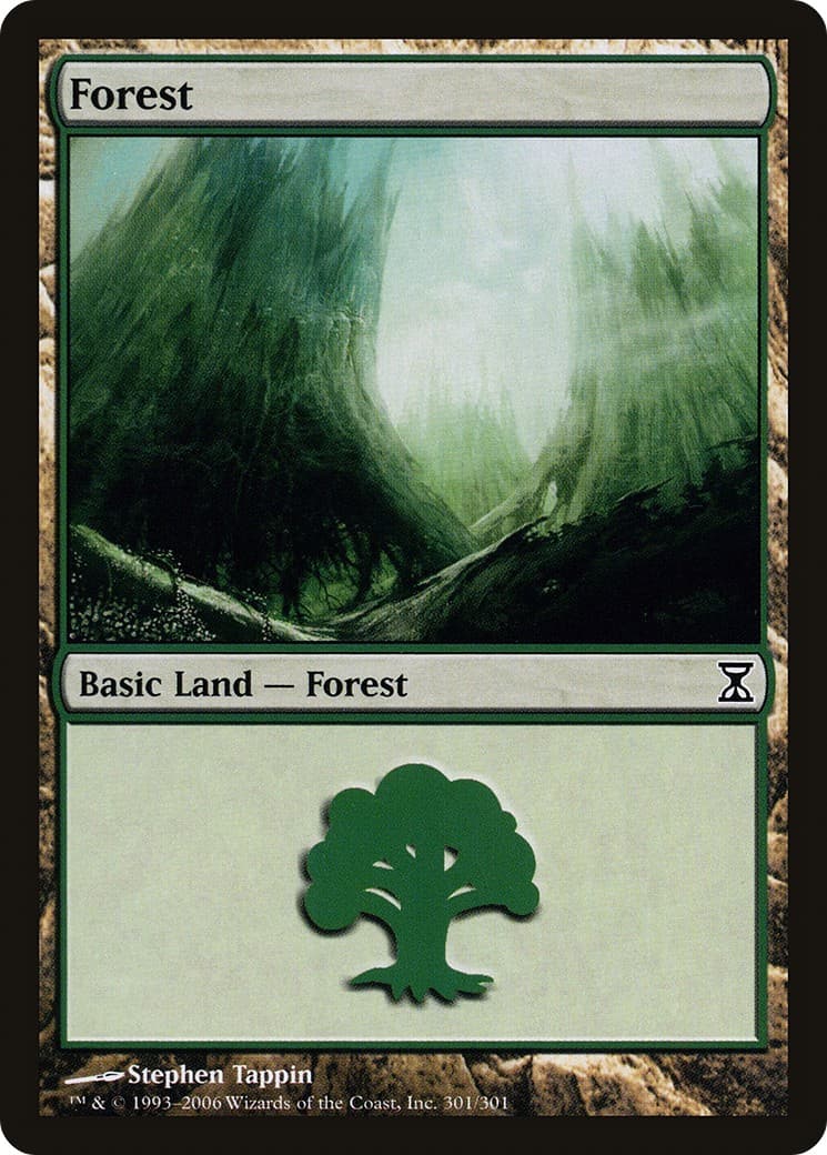 Forest - Image 1