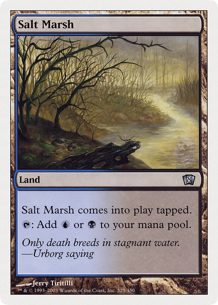 Salt Marsh - Image 1