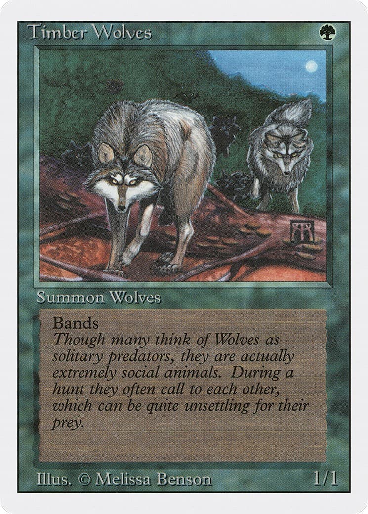 Timber Wolves - Image 1