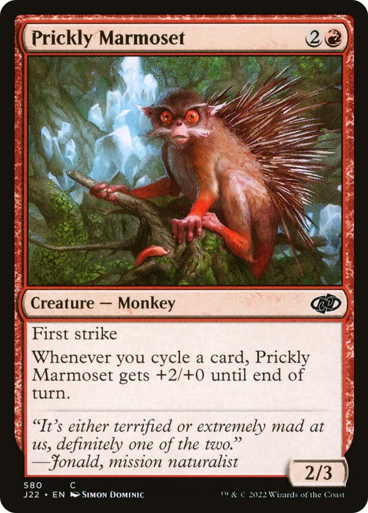 Prickly Marmoset - Image 1