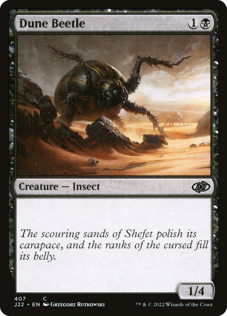 Dune Beetle - Image 1