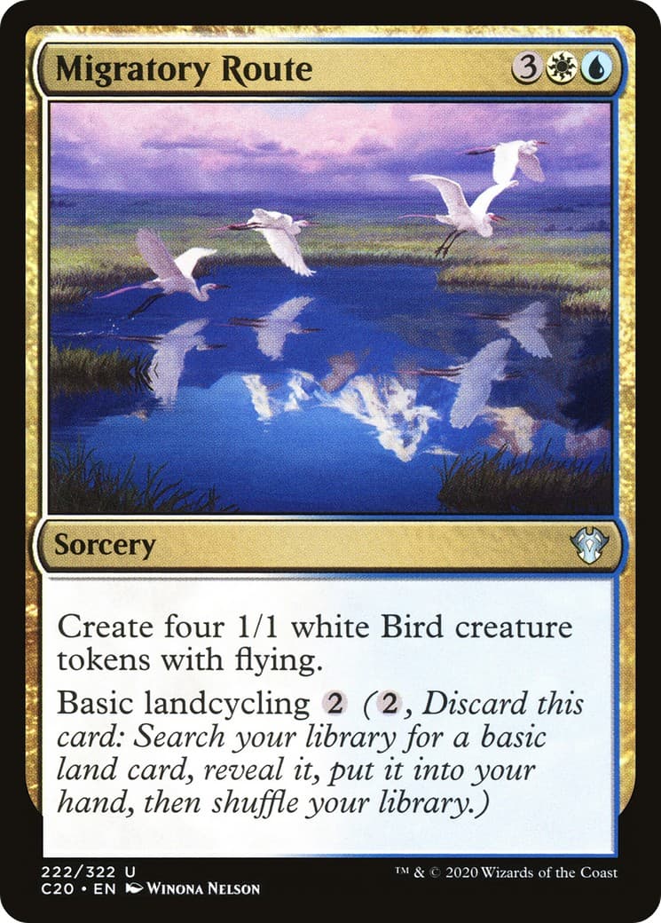 Migratory Route - Image 1
