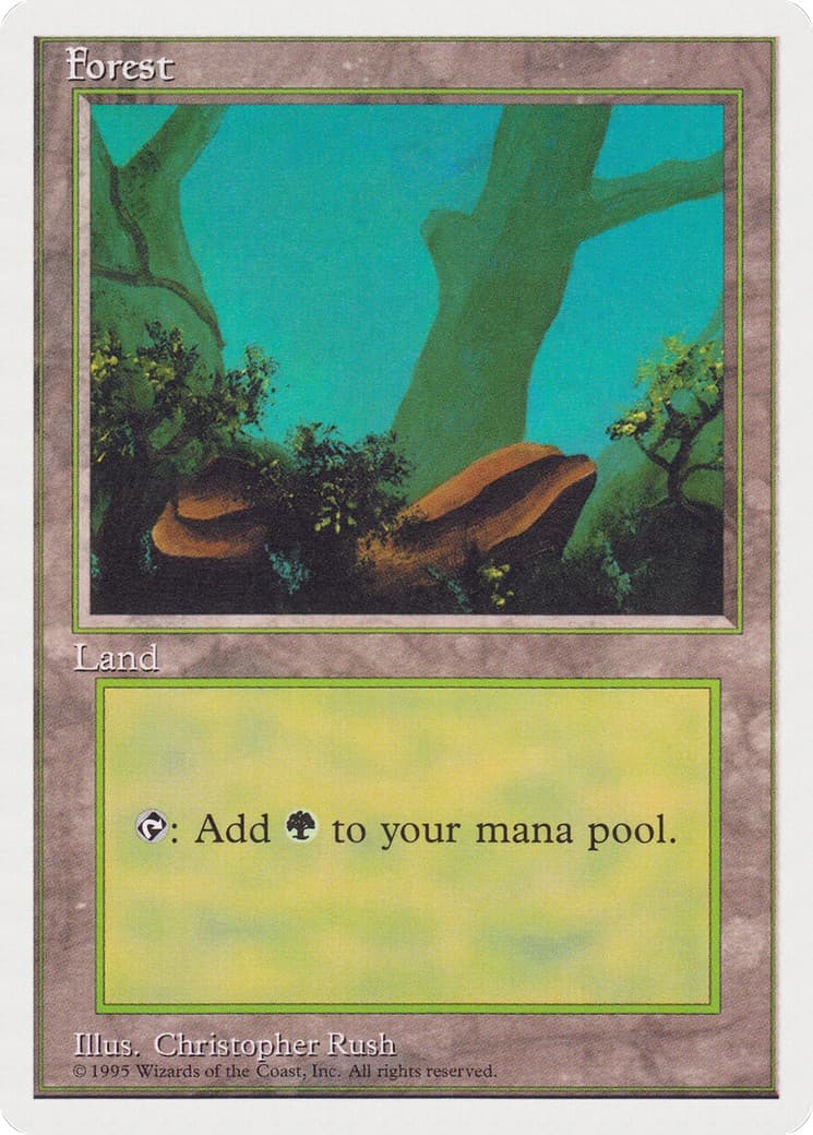 Forest - Image 1