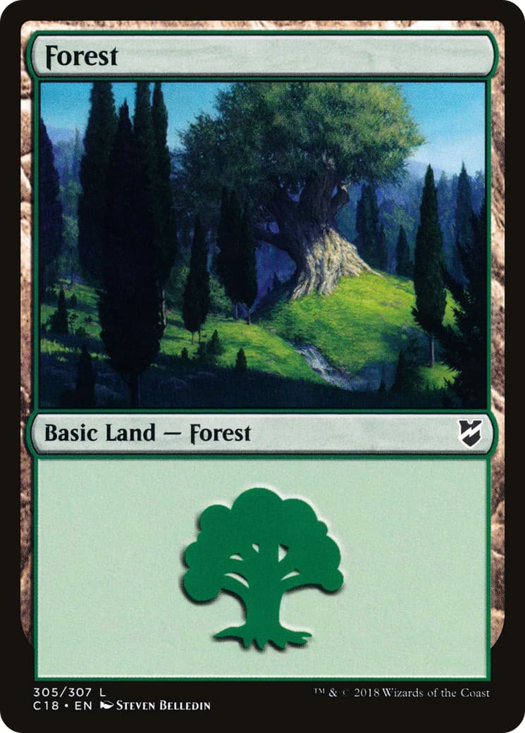 Forest - Image 1