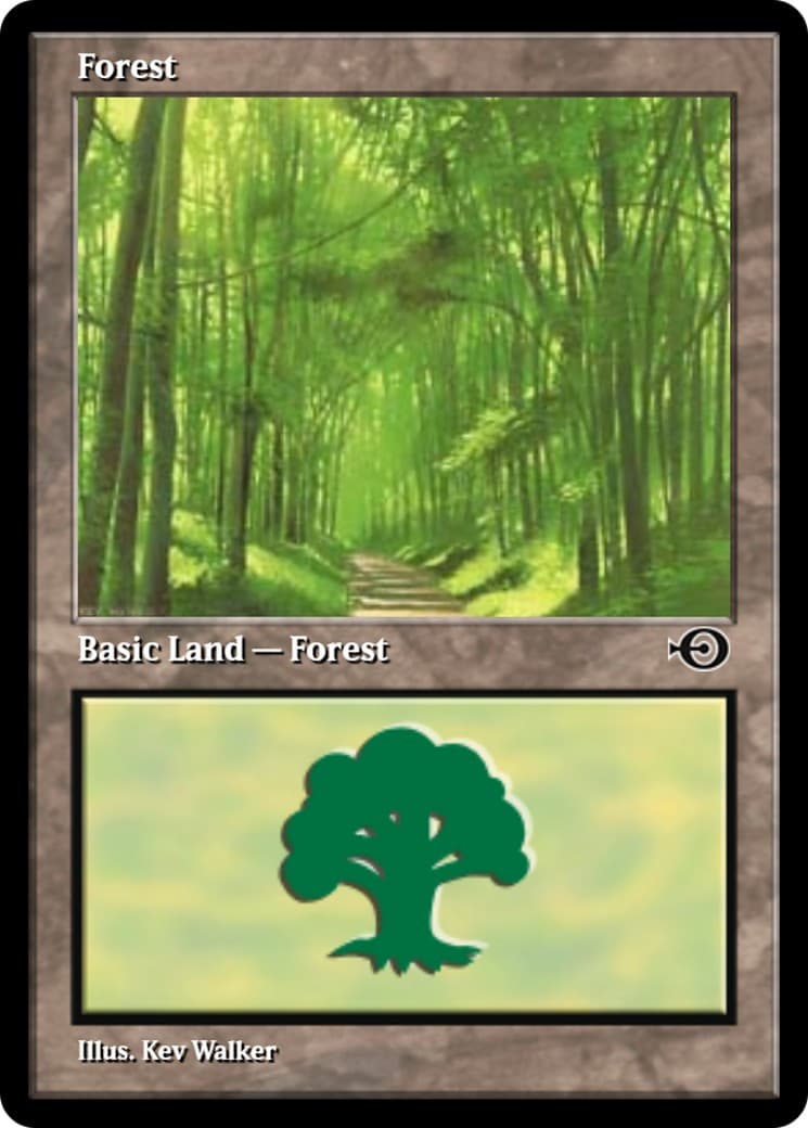 Forest - Image 1