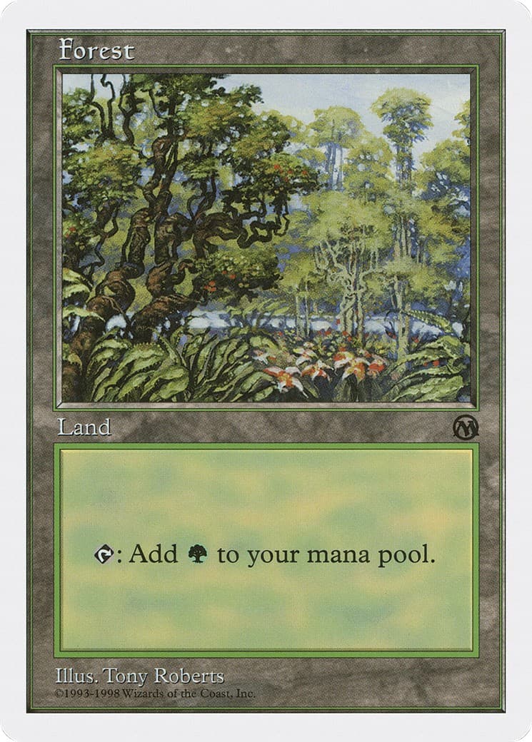 Forest - Image 1