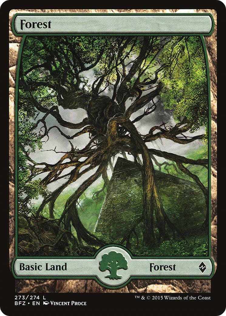 Forest - Image 1