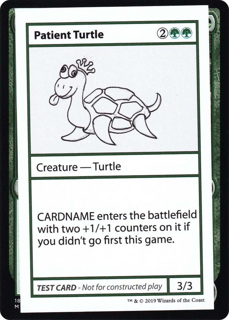 Patient Turtle - Image 1