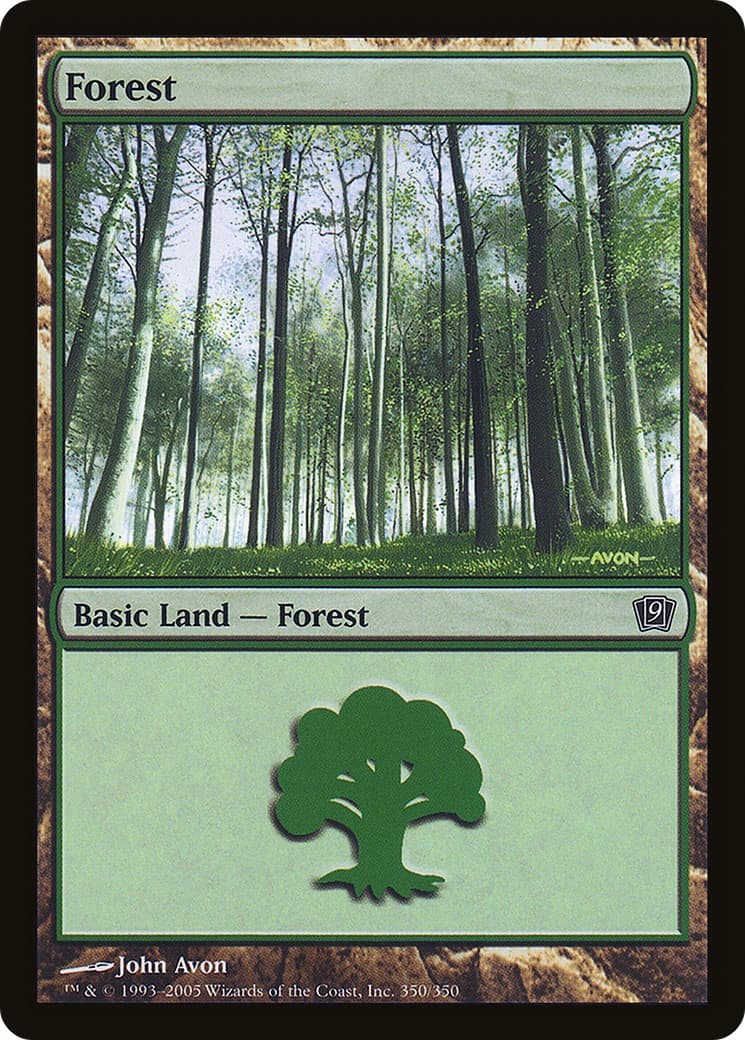 Forest - Image 1