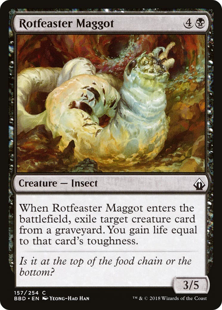 Rotfeaster Maggot - Image 1