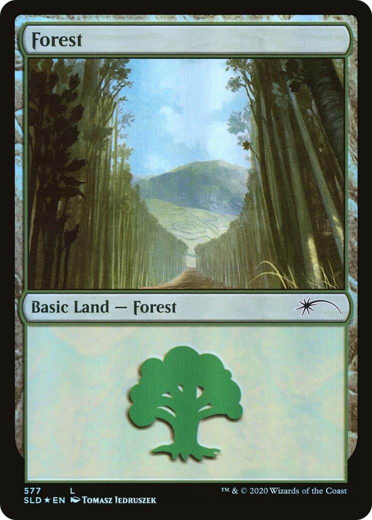 Forest - Image 1