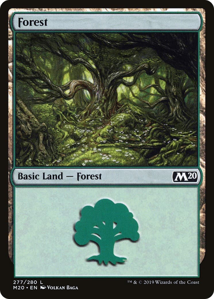Forest - Image 1
