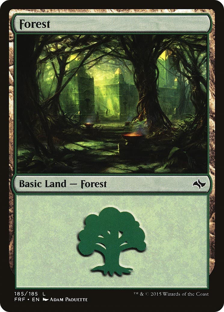 Forest - Image 1