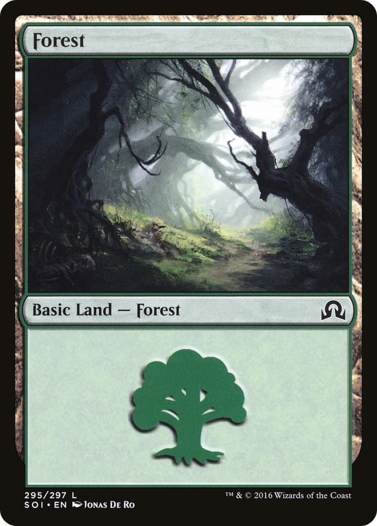 Forest - Image 1
