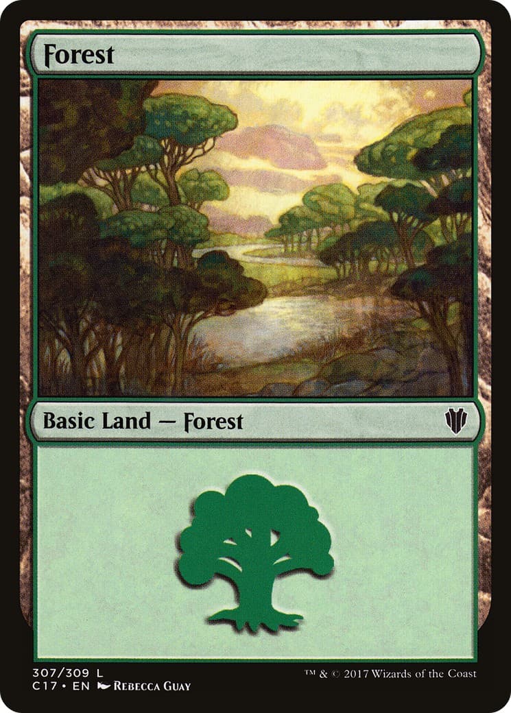 Forest - Image 1